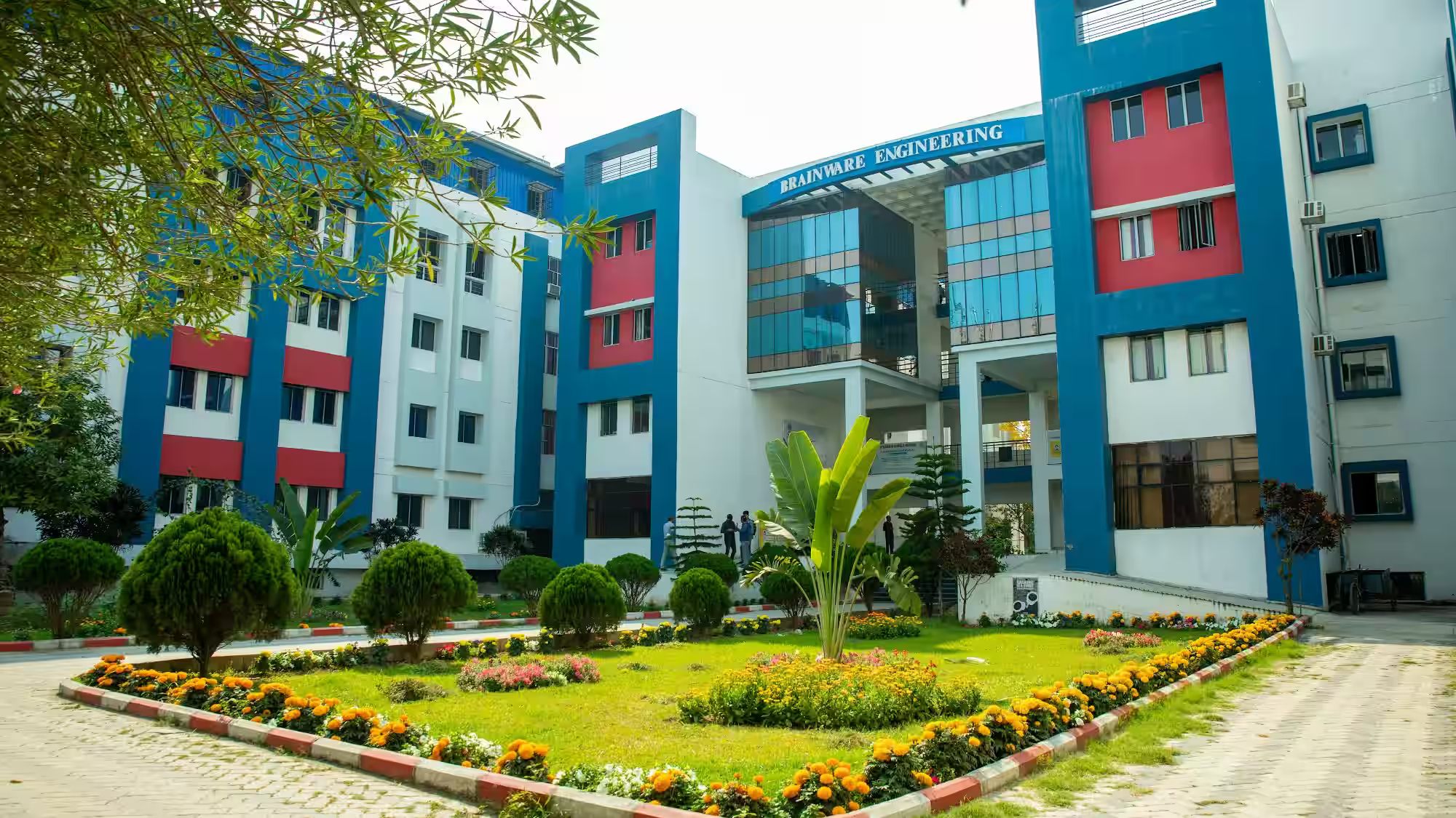 Institute Of Nursing,