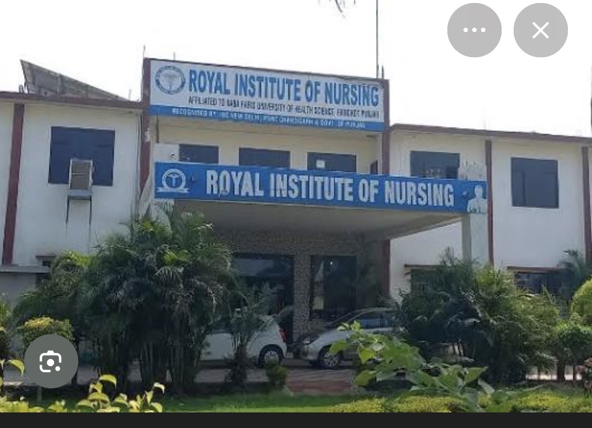 Royal Institute of Nursing (RIN)