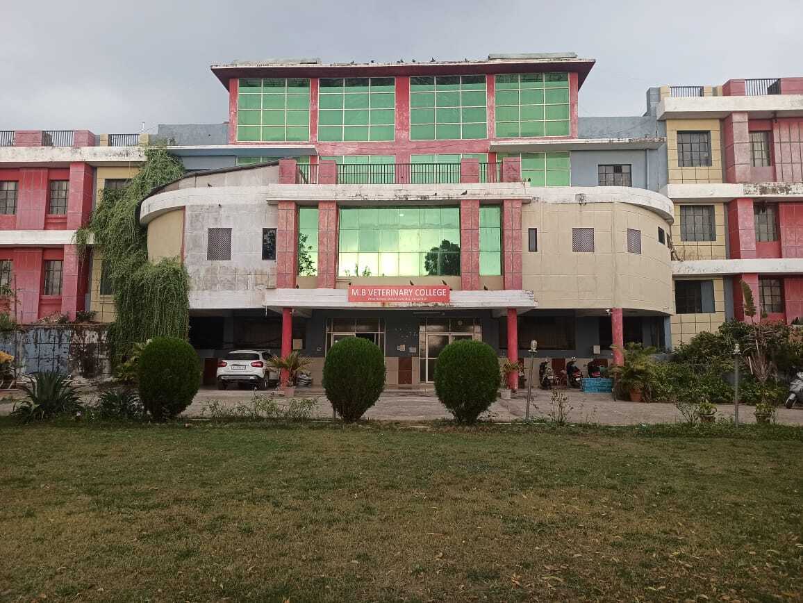 M B College Of Nursing Institute