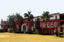 Indira Gandhi (IGES) Institute Of Nursing & Health Sciences